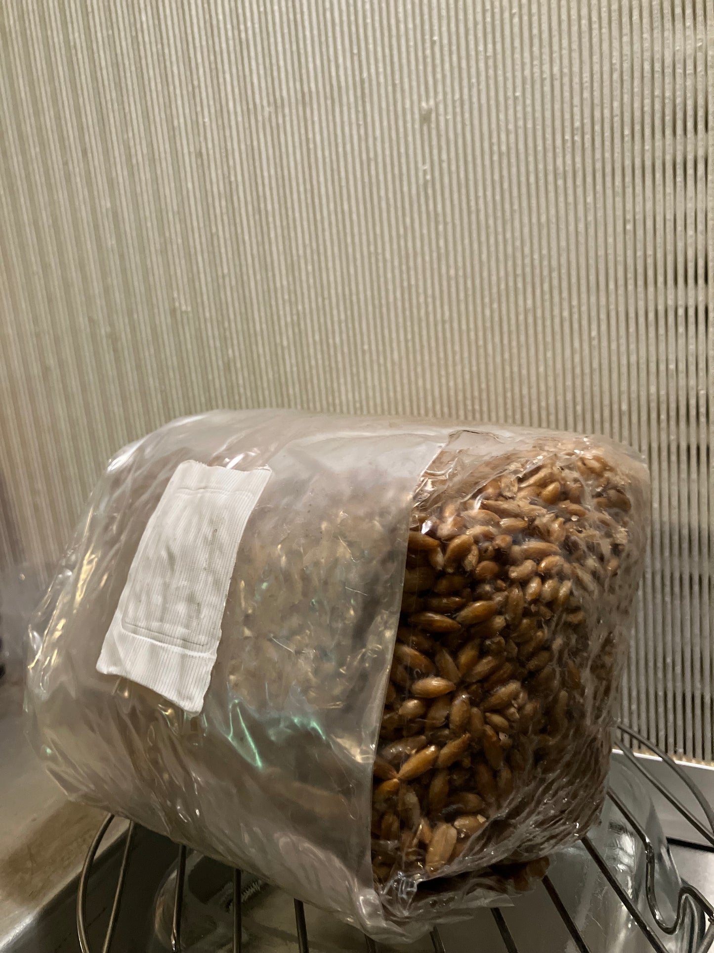 Sterilized Grain Bags (3#)