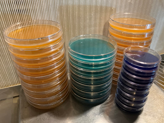 Pre Poured Sterilized MEA Petri Dishes